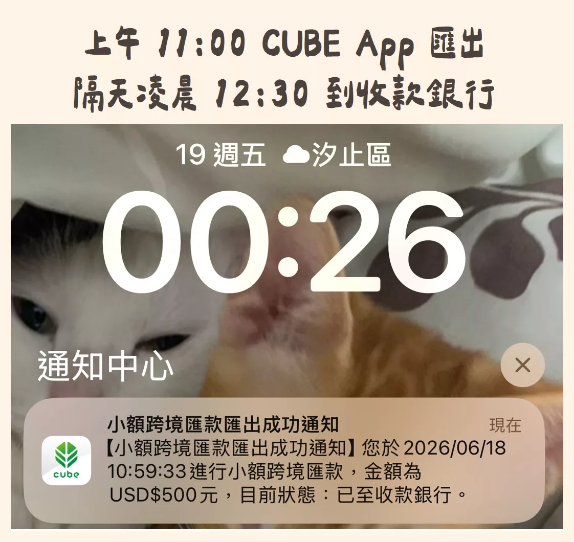 國泰世華CUBE App 小額跨境匯款入金 IB盈透證券實測手續費0元 國泰世華 CUBE App 小額跨境匯款,款項已到 IB 收款行
