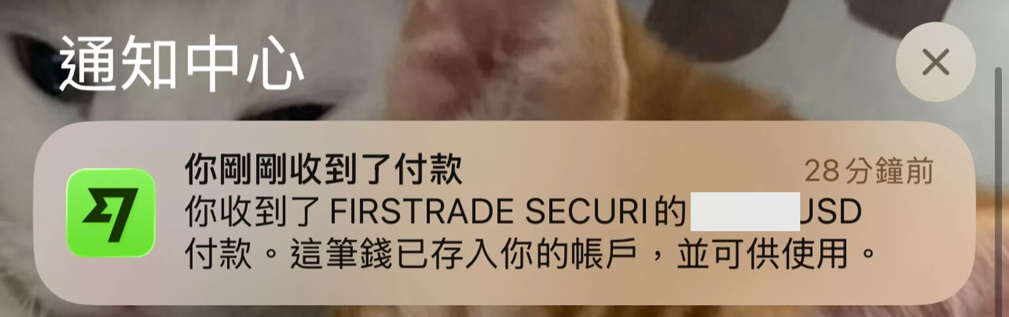 2026 Wise 入金、出金 Firstrade 實測:ACH 免手續費與圖解教學 Wise 收到 Firstrade 的付款截圖